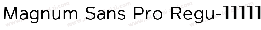 Magnum Sans Pro Regu字体转换